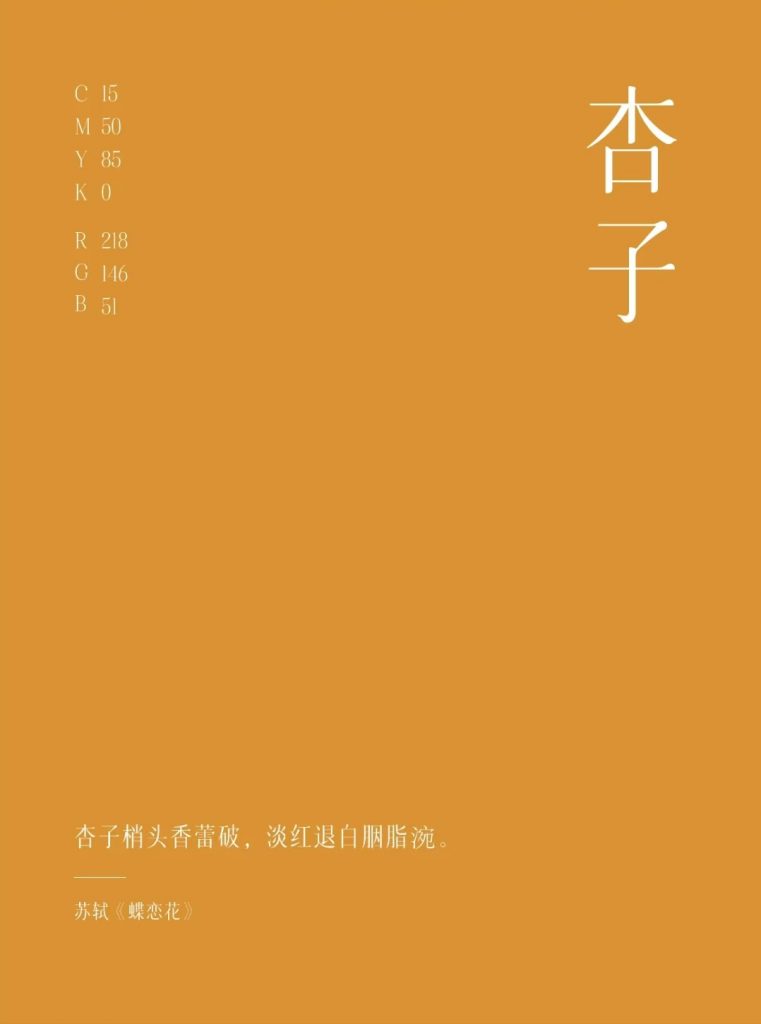  鸿雁来宾 ·承之“杏子”