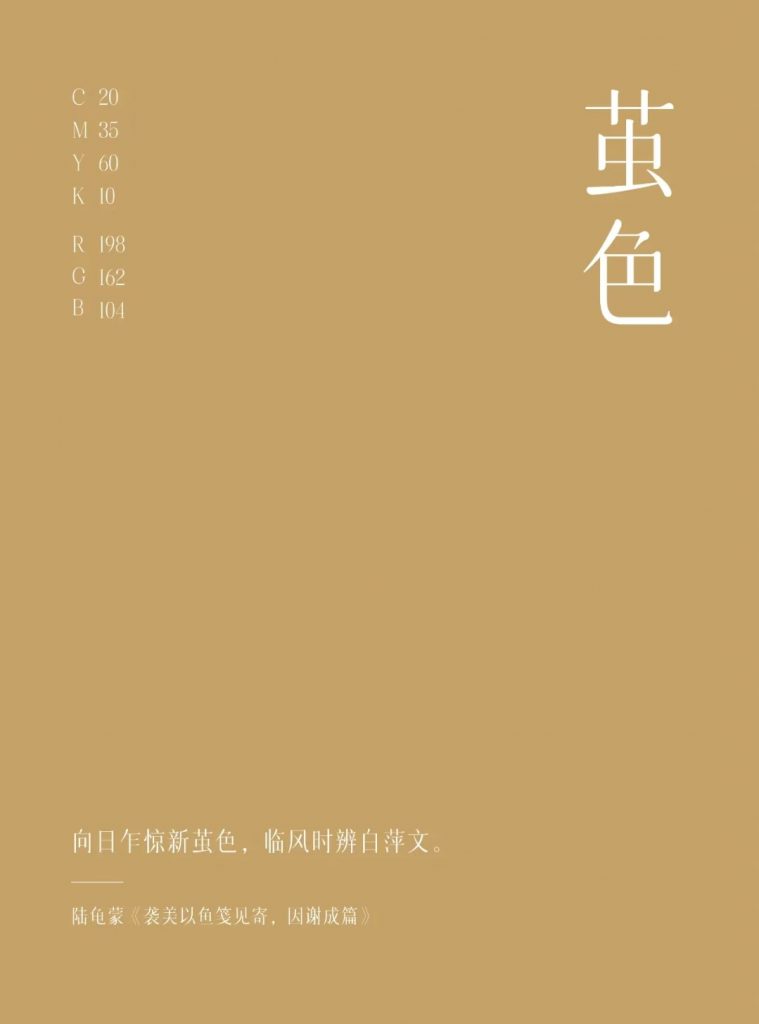 菊有黄华 · 转而“茧色”