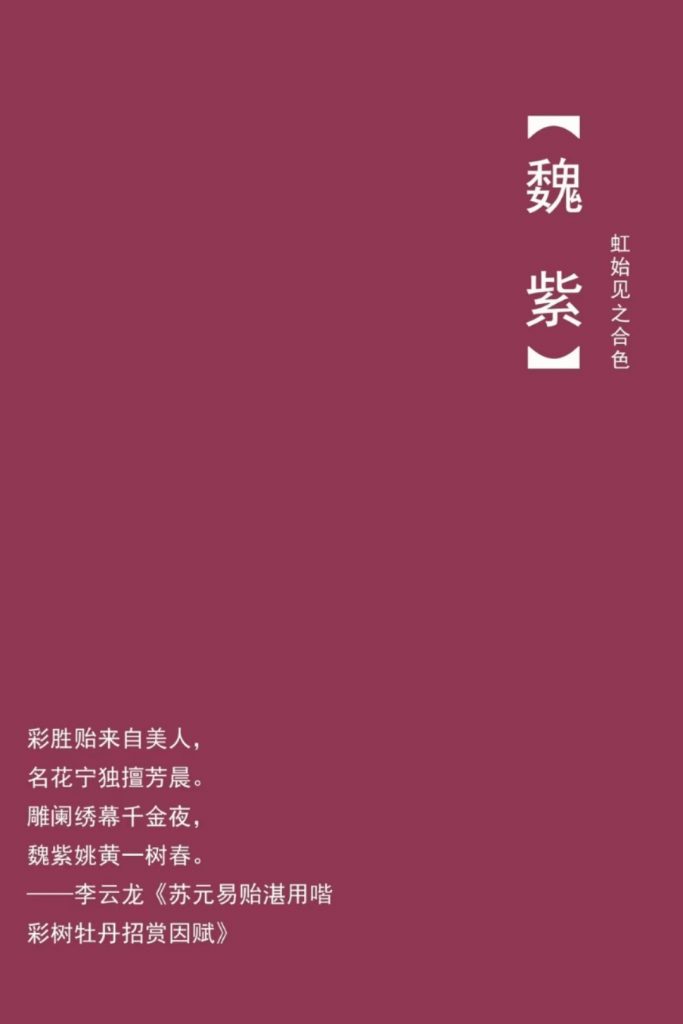 清明 ·三侯--魏紫